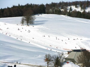 Rodelbahn am Schauinsland