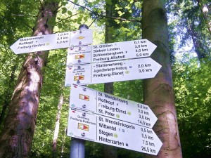 Ausschilderung der Wanderwege durch den Schwarzwaldverein