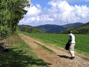 Wandern im Schwarzwald